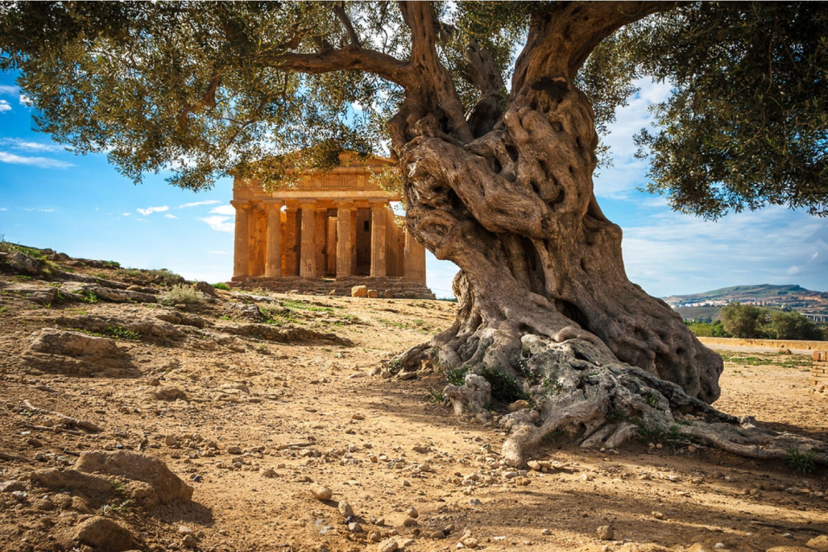 Sicily