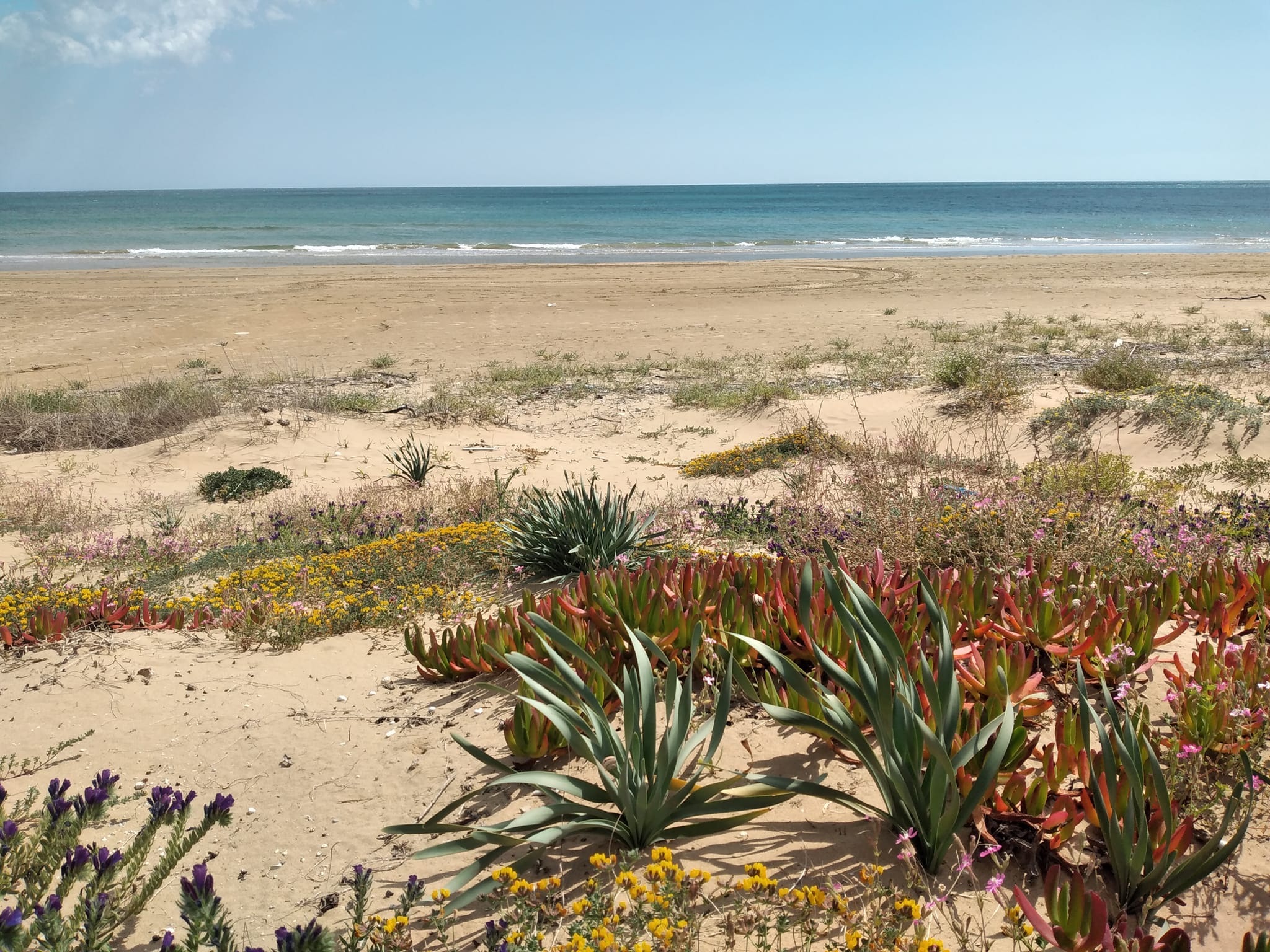 Scopri la magia della spiaggia di Tre Fontane