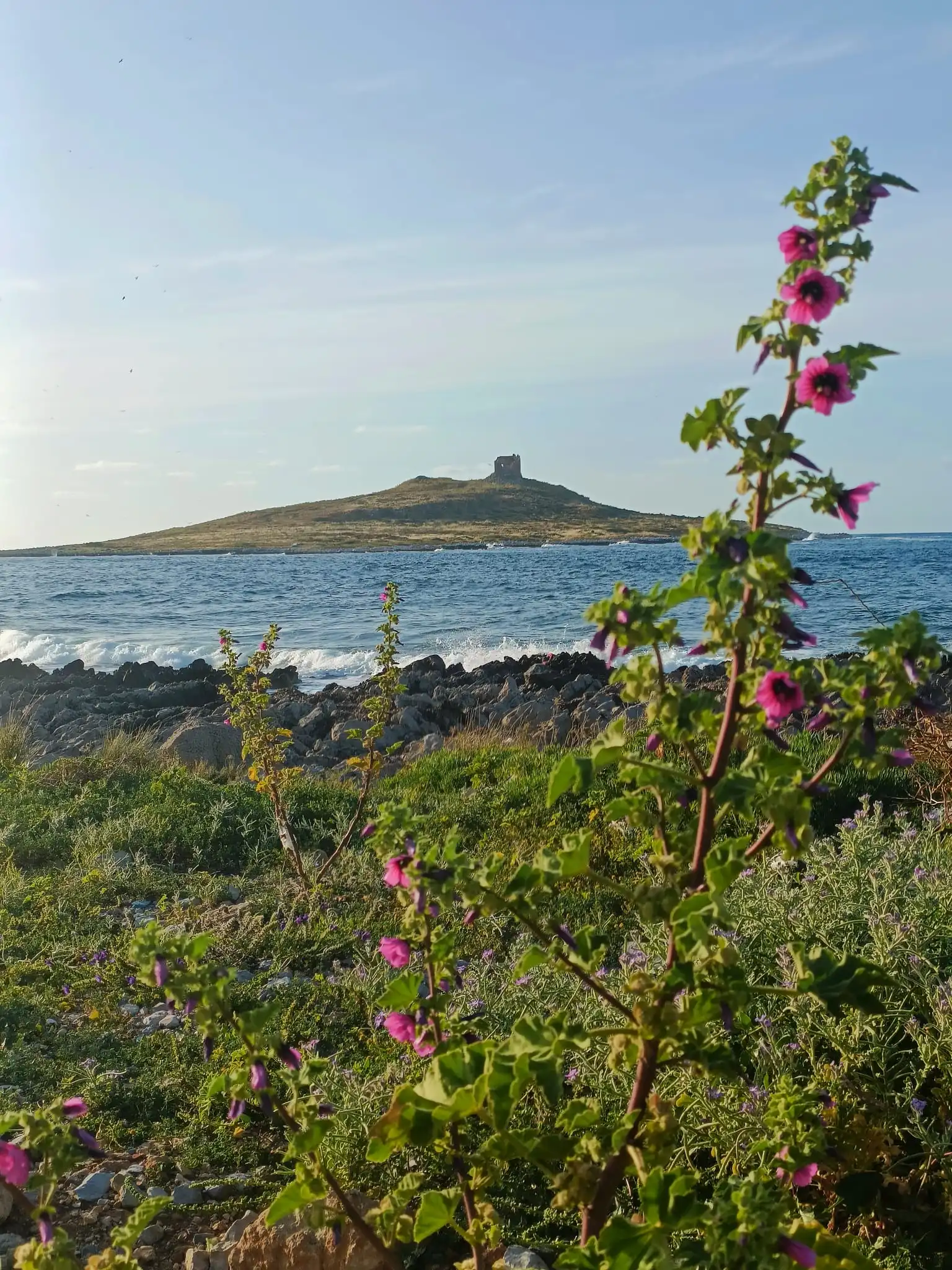 L’isola? Si ma quella delle femmine!