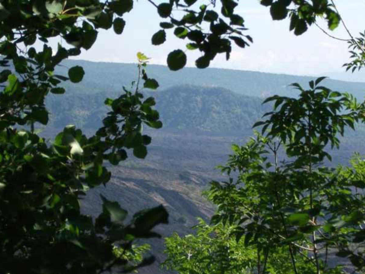 Trekking privato Etna da Catania: natura e avventura