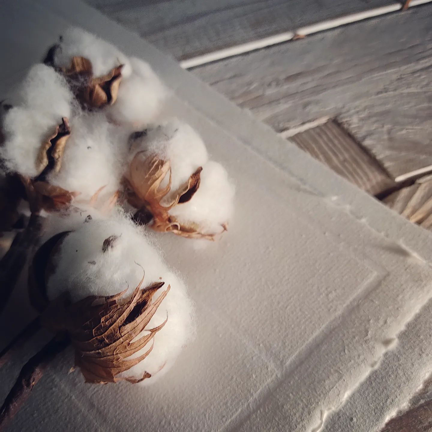 Cartiera Crisa: Laboratorio di Carta Fatta a Mano a Leonforte