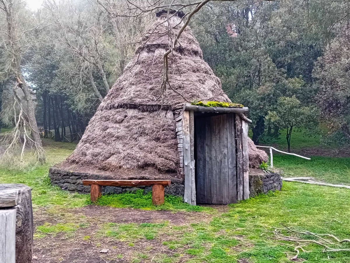 Etna bike ad anello con degustazione: Grilli - Minardo