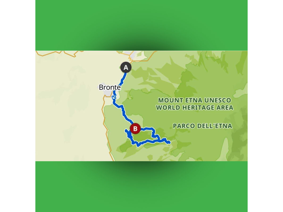 Etna bike ad anello con degustazione: Grilli - Minardo