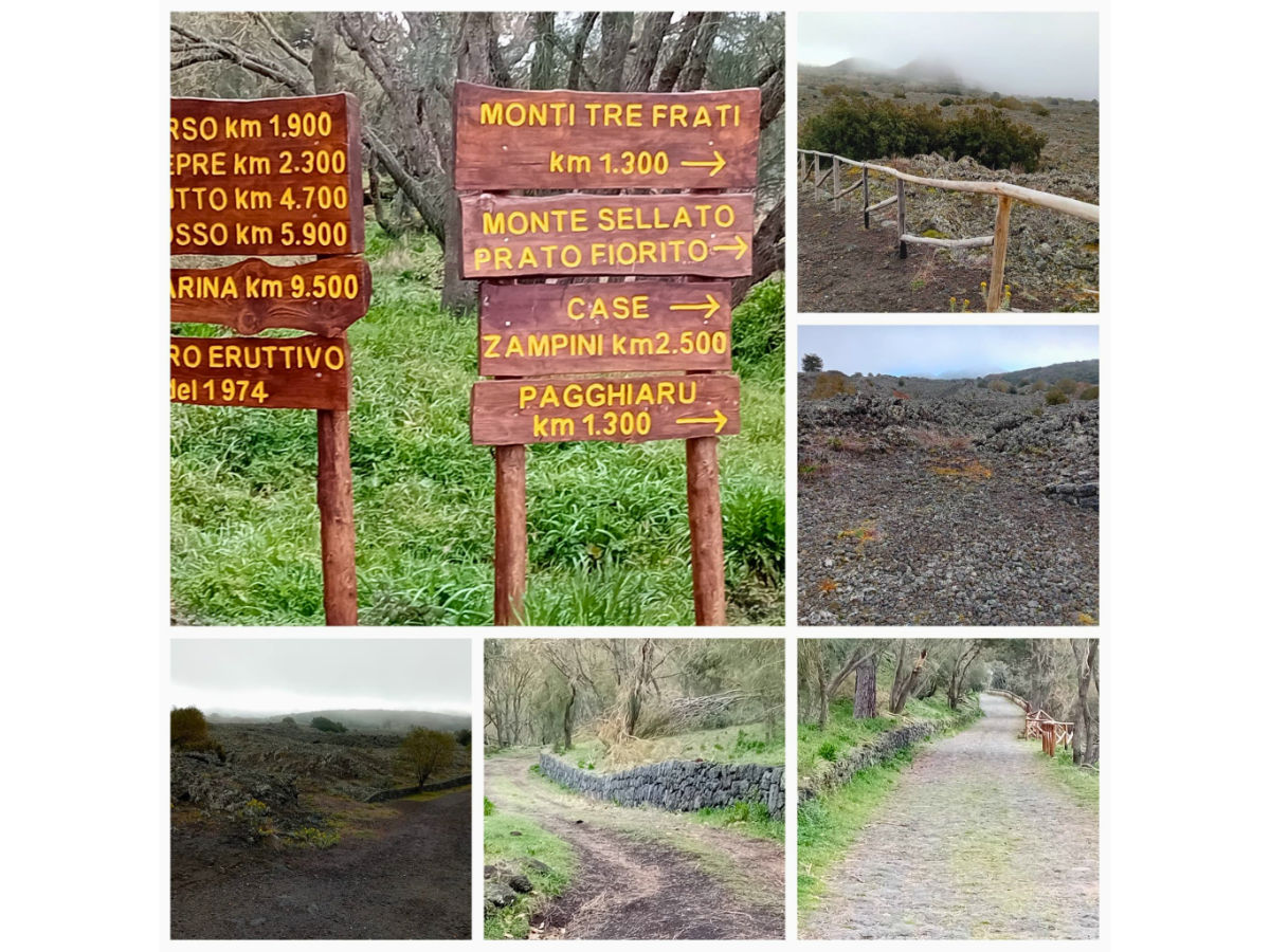 Etna bike ad anello con degustazione: Grilli - Minardo