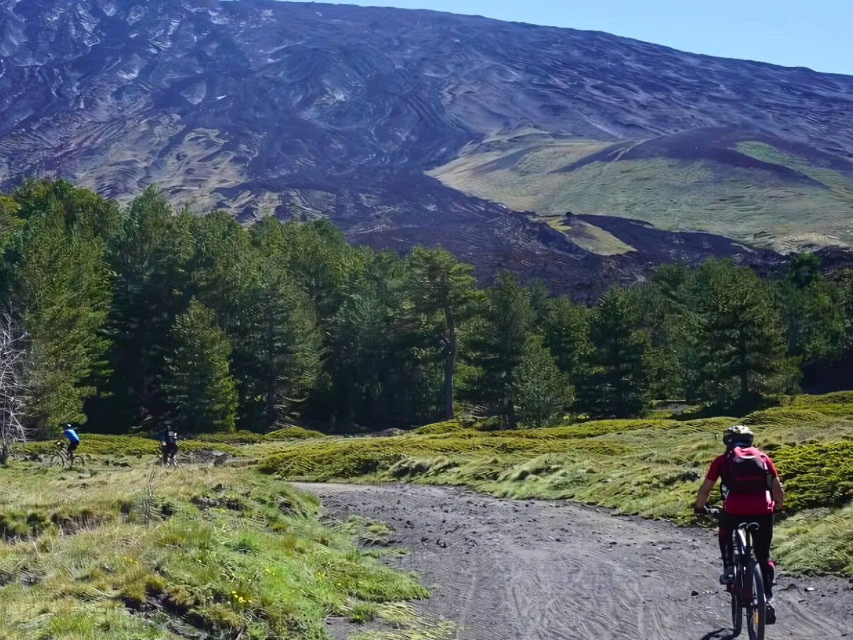Tour in bici Bronte Maletto percorso impegnativo tra lava, boschi e panorami con degustazione