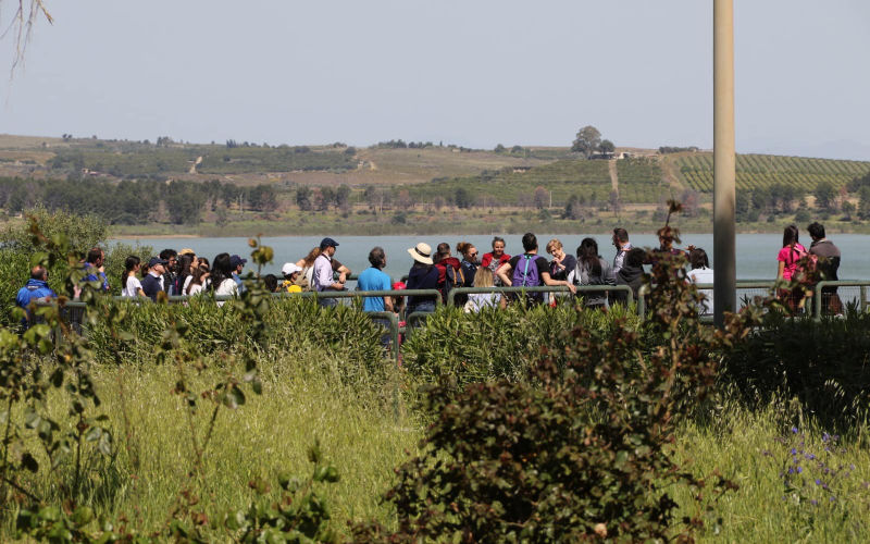 Escursione con Picnic al Lago Biviere di Lentini