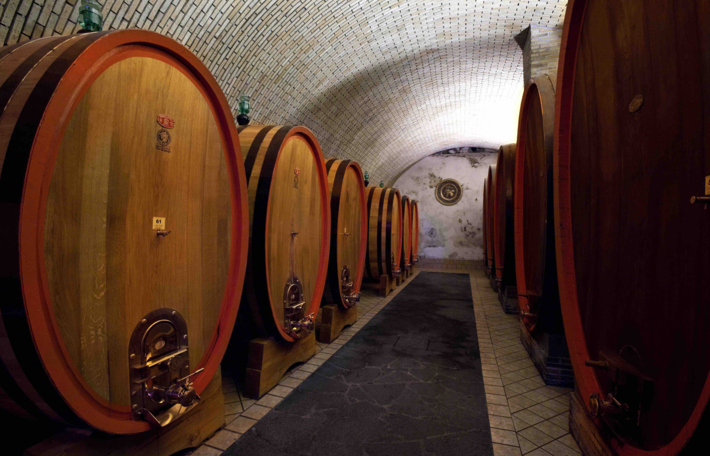 Degustazione vini Etna cantina storica 1877