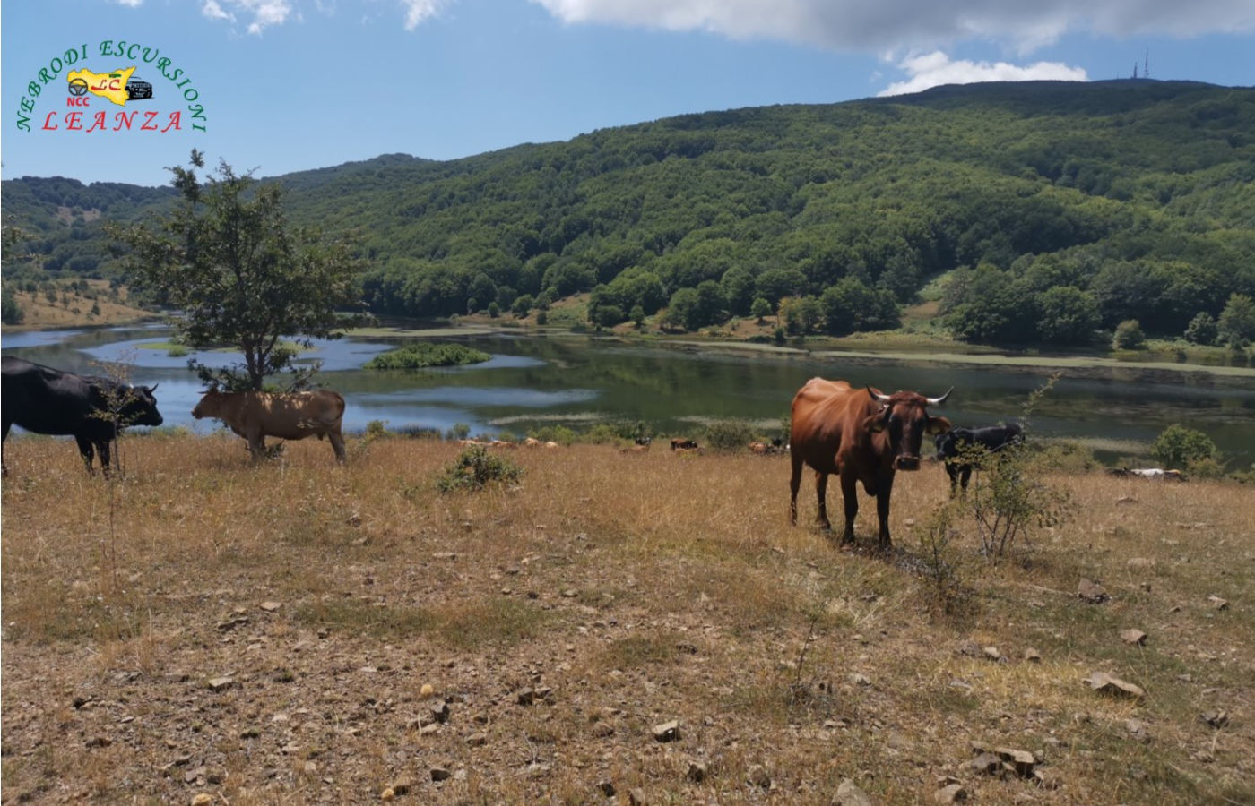 Parco dei Nebrodi Life Experience: 2 Giorni di Pura Immersione nella Natura Siciliana