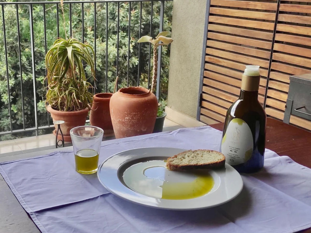 Tour Uliveti e Degustazione Olio e Vino in Sicilia – Esperienza a Balestrate