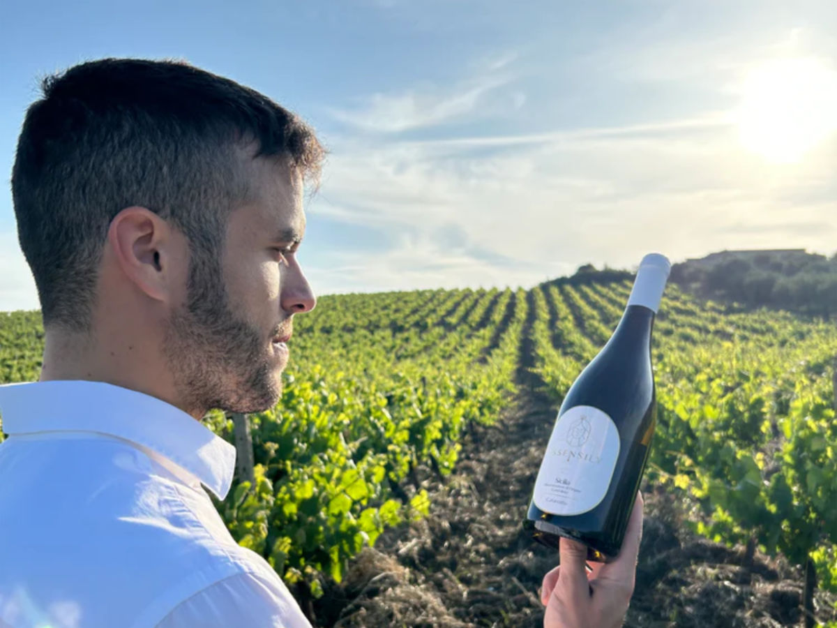 Tour Uliveti e Degustazione Olio e Vino in Sicilia – Esperienza a Balestrate