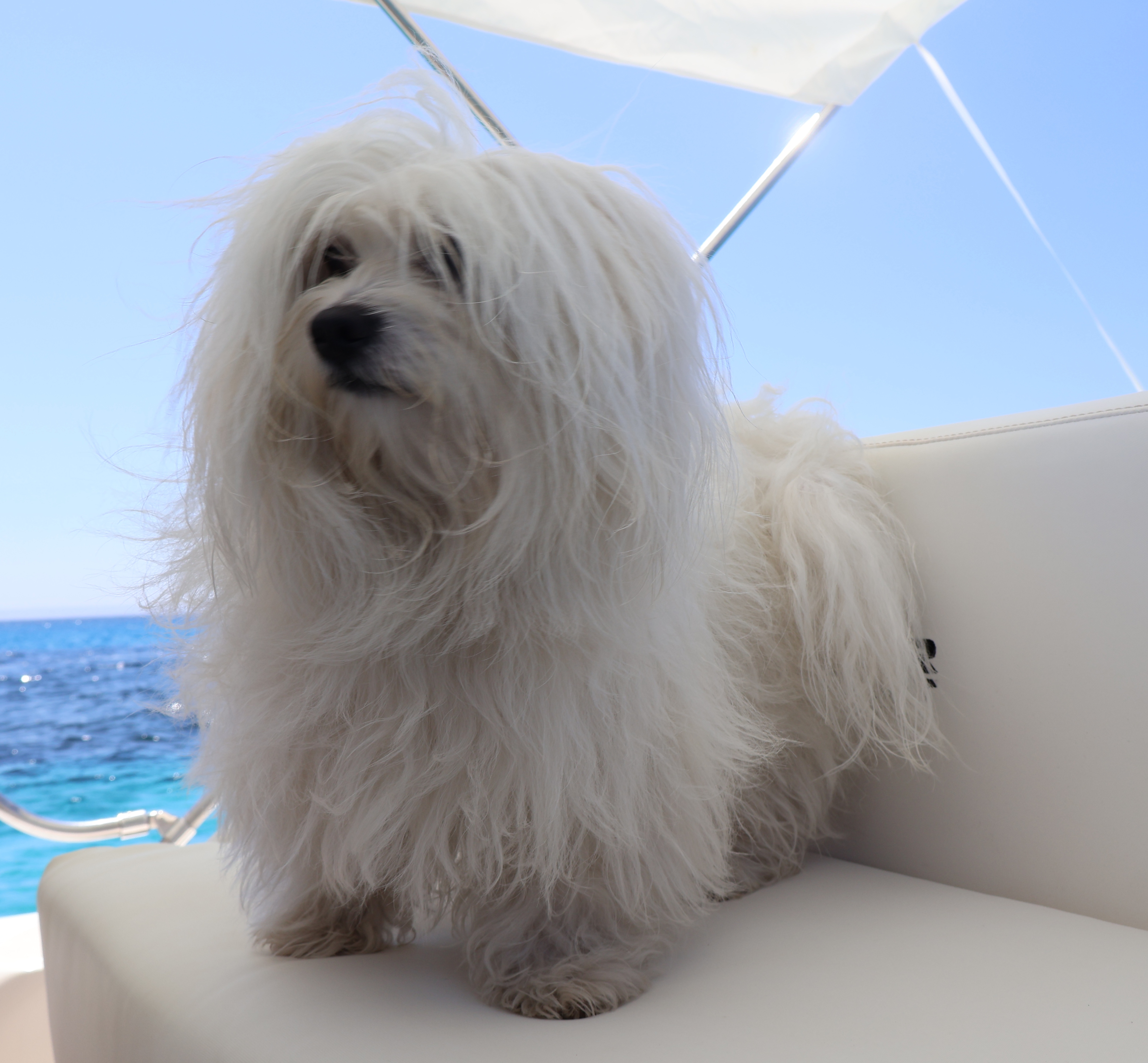 Tour, Levanzo partenza da Trapani