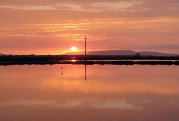 Sale e Sole, Escursione Saline Trapani Paceco: Mulino e Museo in 2h.