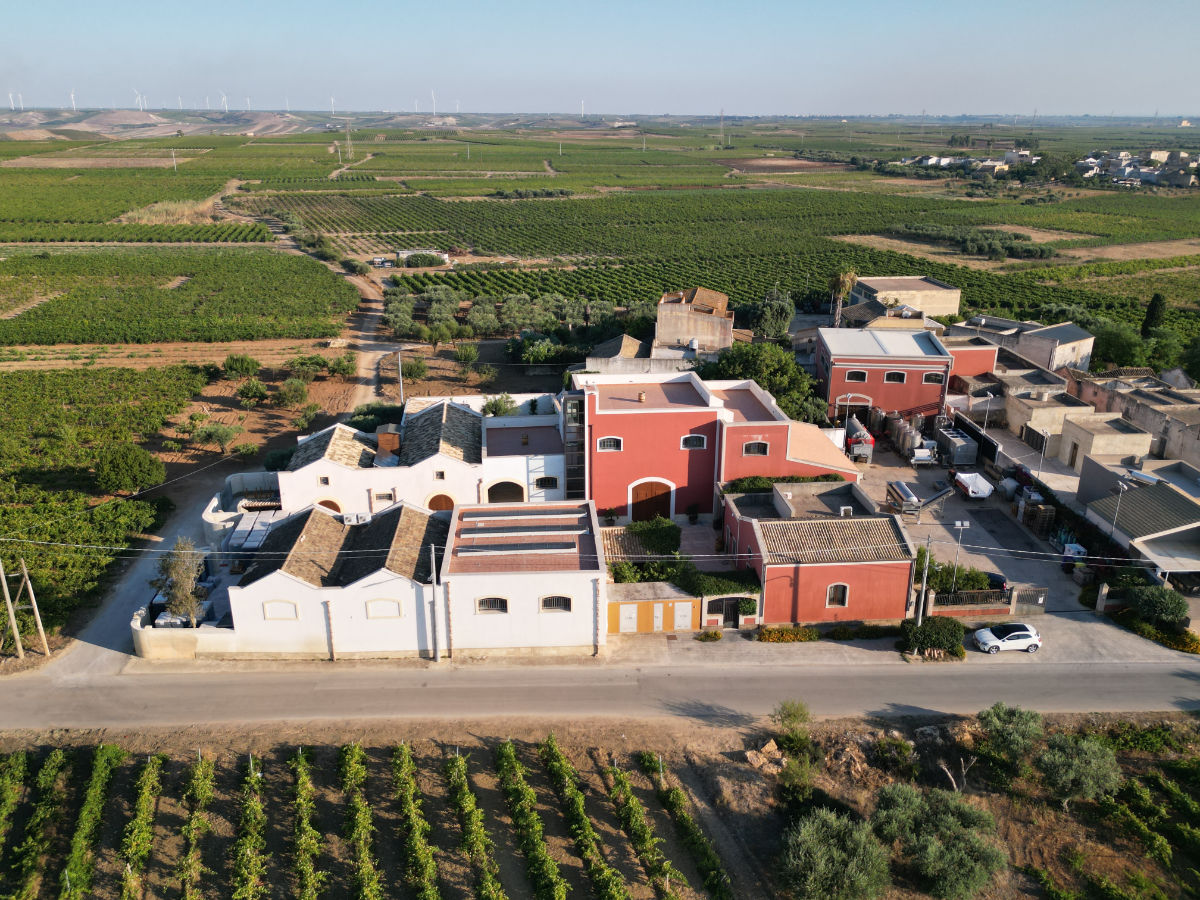 Amunì in Cantina: Visita Guidata Degustazione 3 Vini