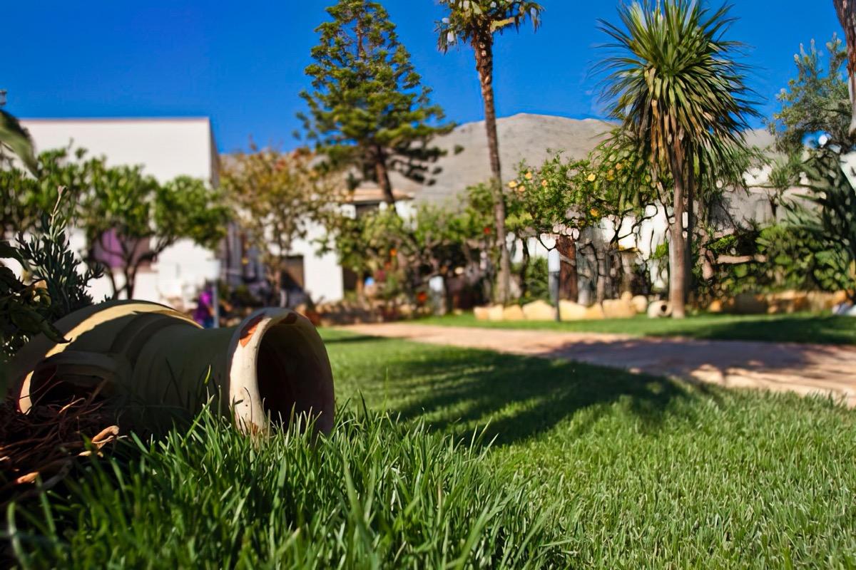 Il Giardino della Nonna, B&B accogliente Castelluzzo, San Vito Lo Capo