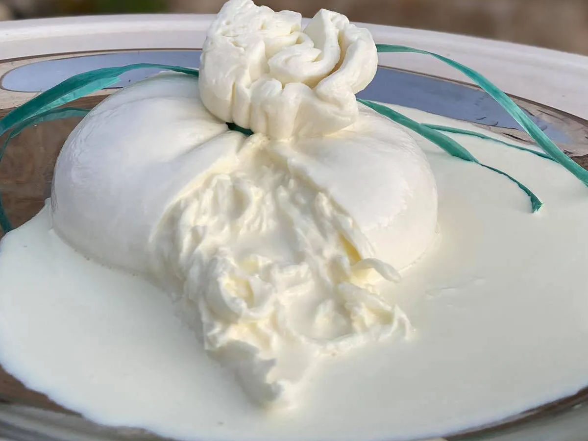 Tour nella produzione di formaggi della vacca Cinisara