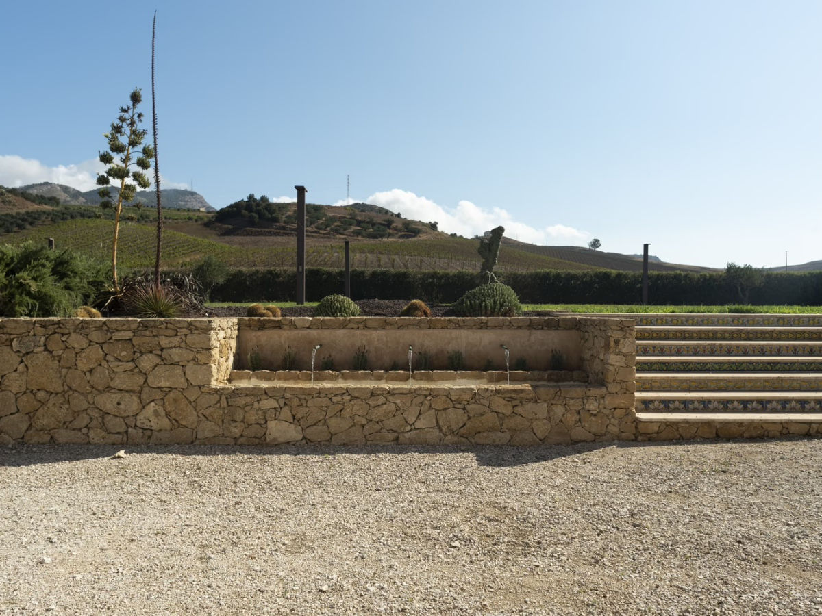 Alcamo: Tour del vino e dell'olio con degustazione