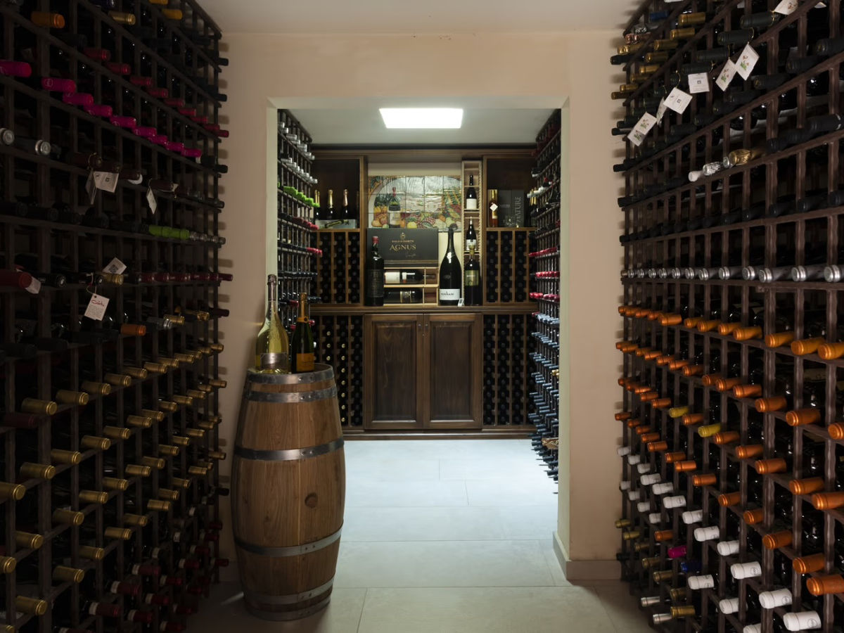 Alcamo: Tour del vino e dell'olio con degustazione