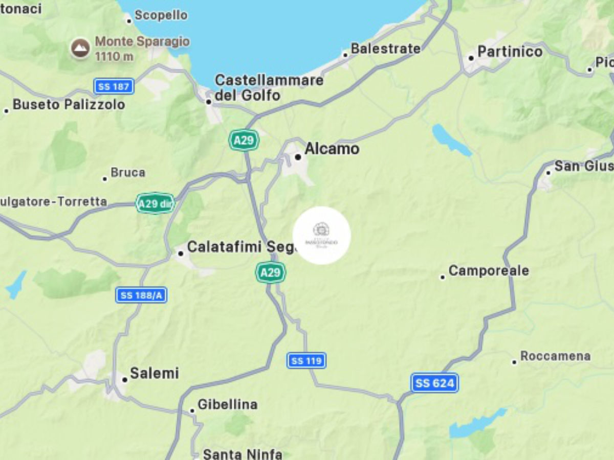 Alcamo: Tour del vino e dell'olio con degustazione