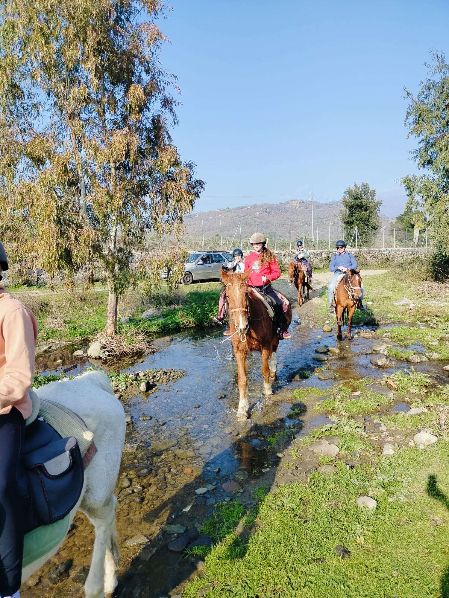 Trekking a cavallo nel Parco Fluviale dell’Alcantara