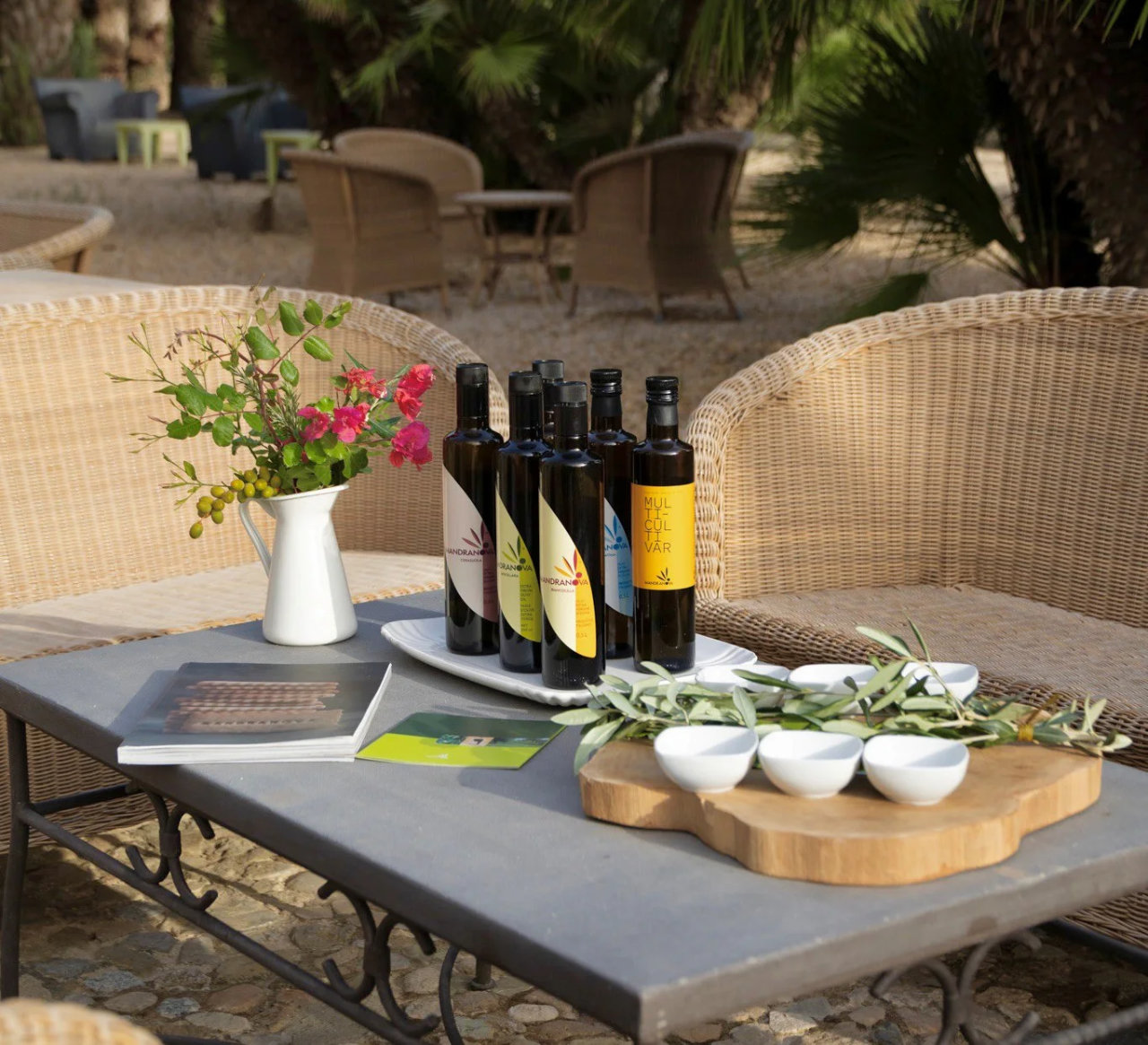 Visita all’oliveto e al frantoio con degustazione