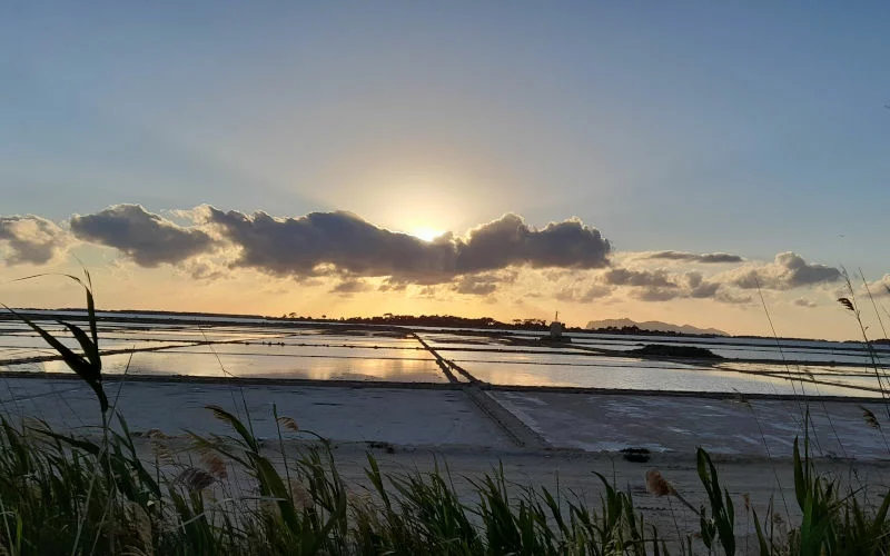 Wine Tour Marsala + Mothia + Tramonto Mamma Caura