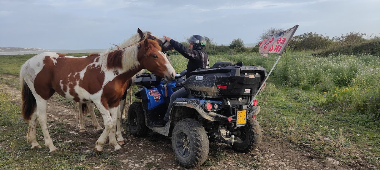 Tour Quad 3h: Dal Castello al Mare