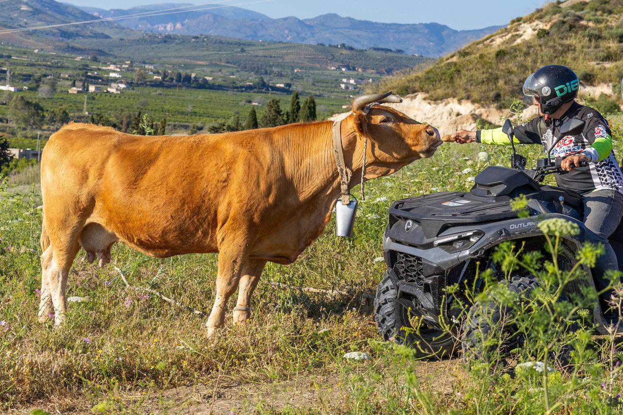 Tour Quad 3h: Dal Castello al Mare