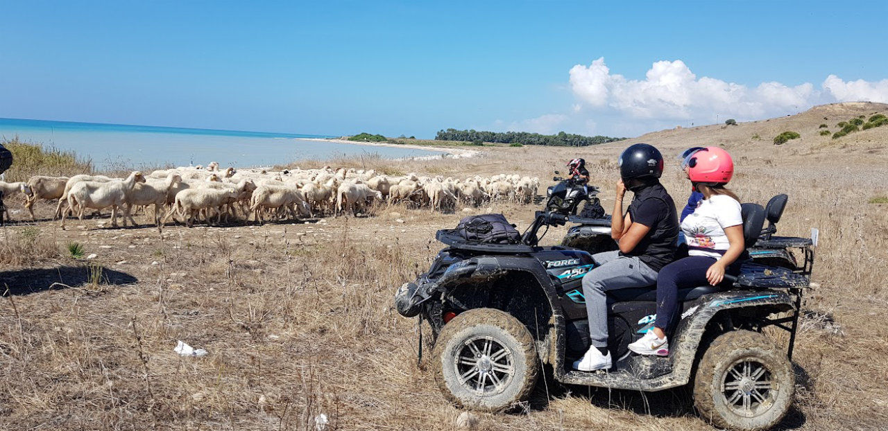 Tour Costiero Quad Ribera Costa Selvaggia