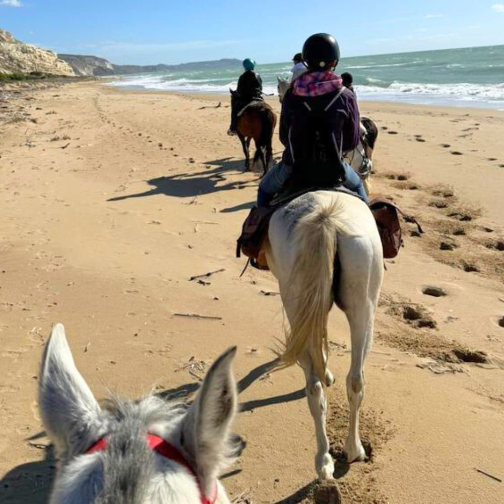 Passeggiata Cavallo 2h Torre Salsa o Capo Bianco