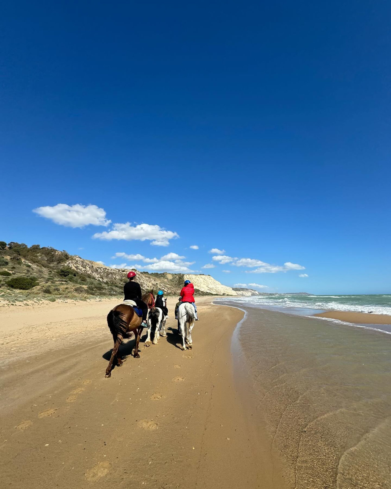 Esperienza Pony per Bambini