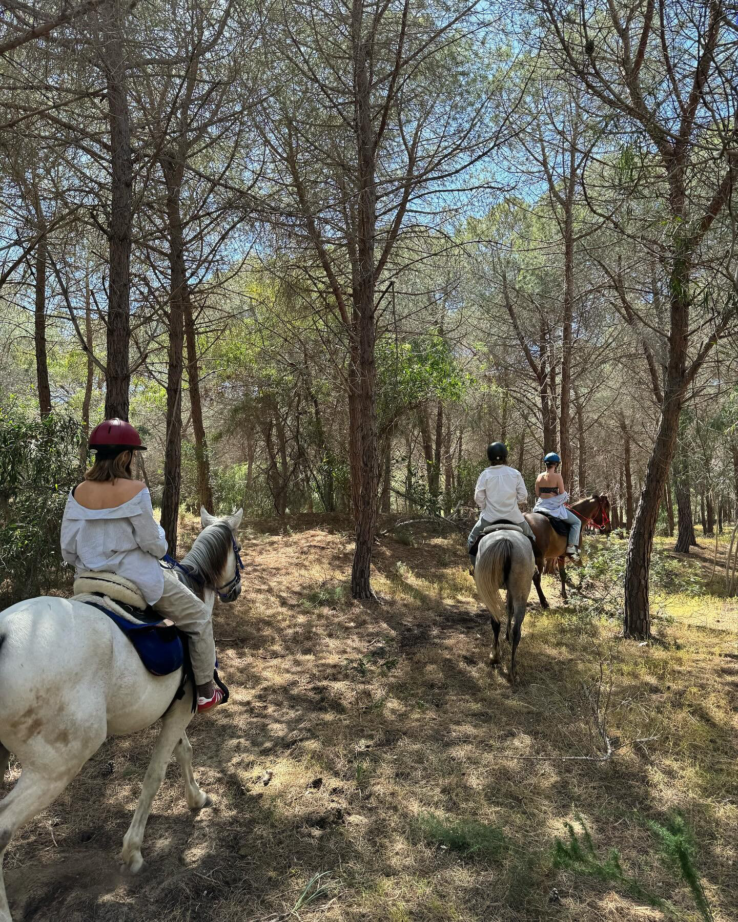 Passeggiata a cavallo 1 ora Torre Salsa o Capo Bianco