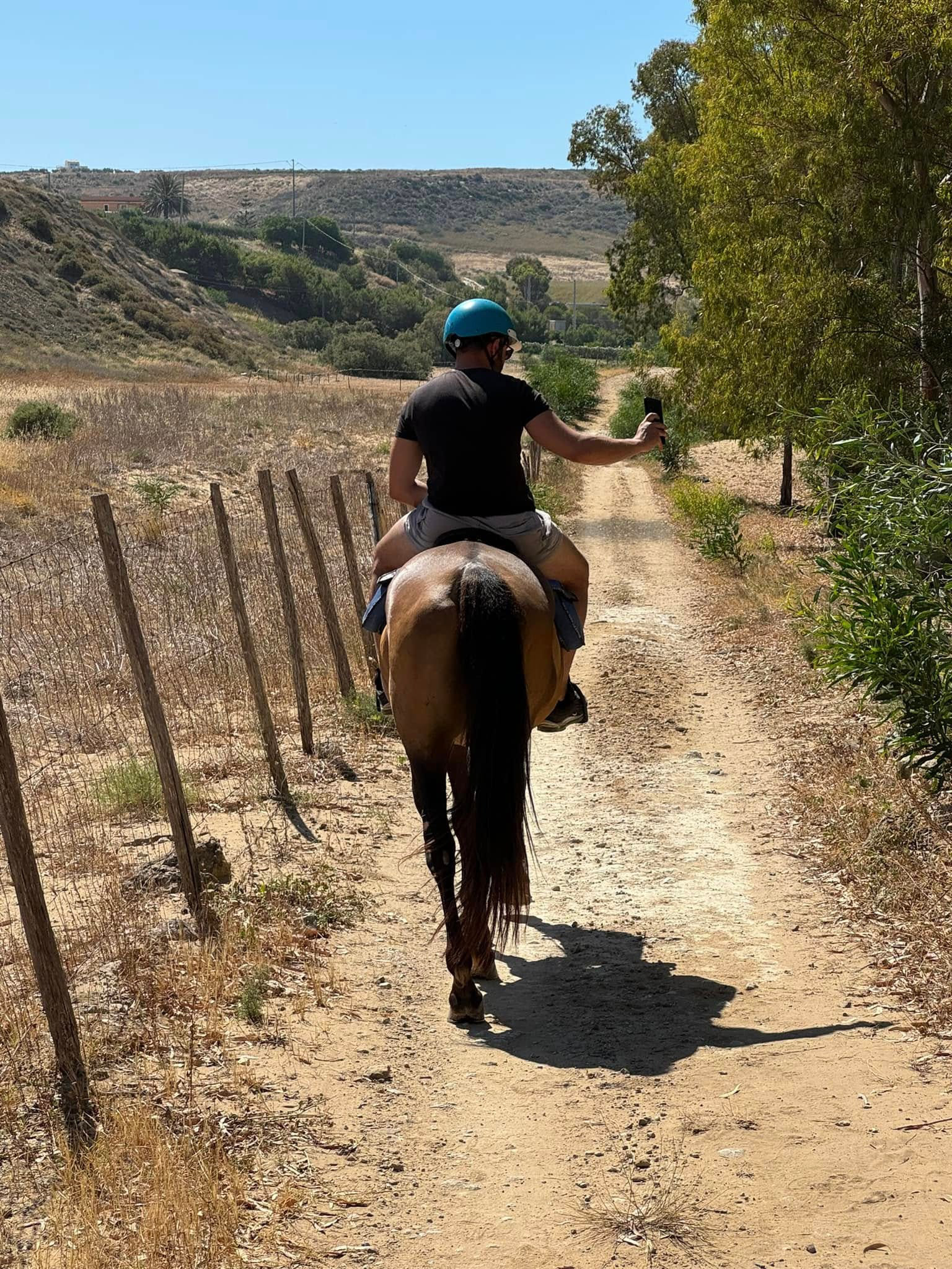 Mezza Giornata a Cavallo Monti Spiaggia Pineta