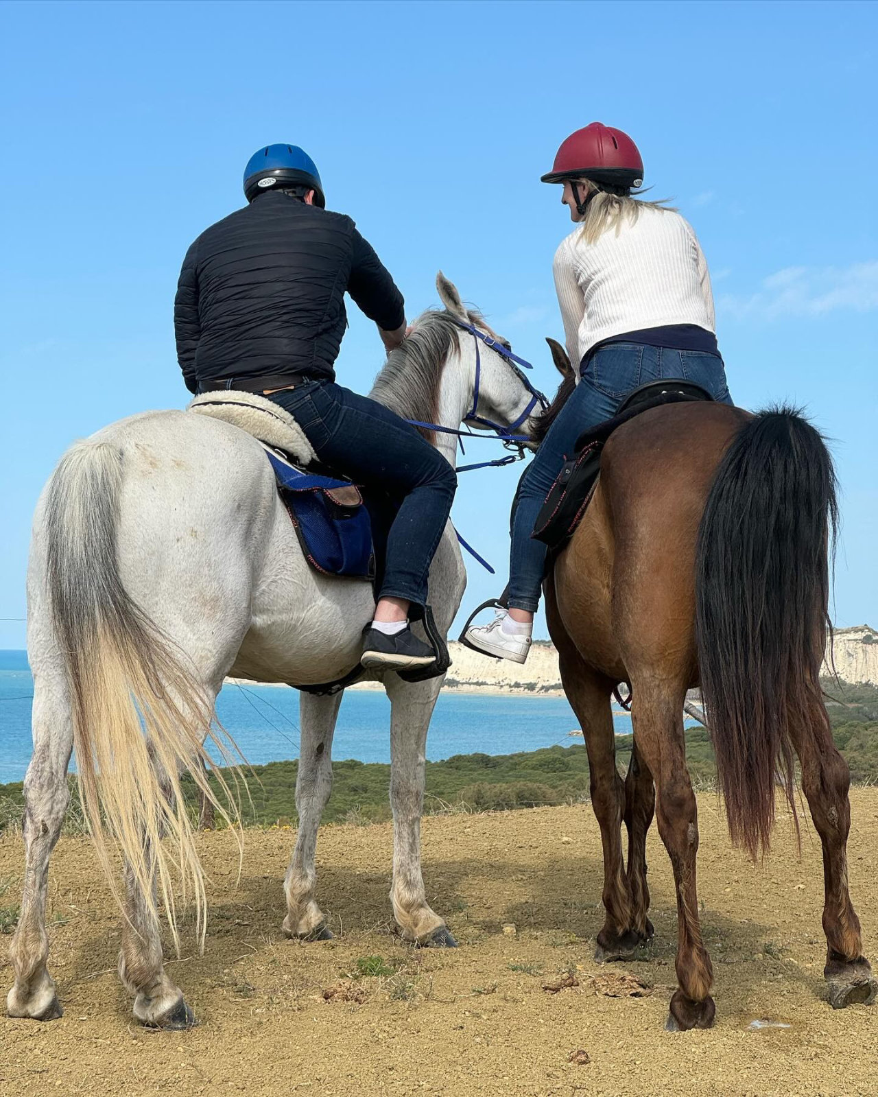 Mezza Giornata a Cavallo Monti Spiaggia Pineta