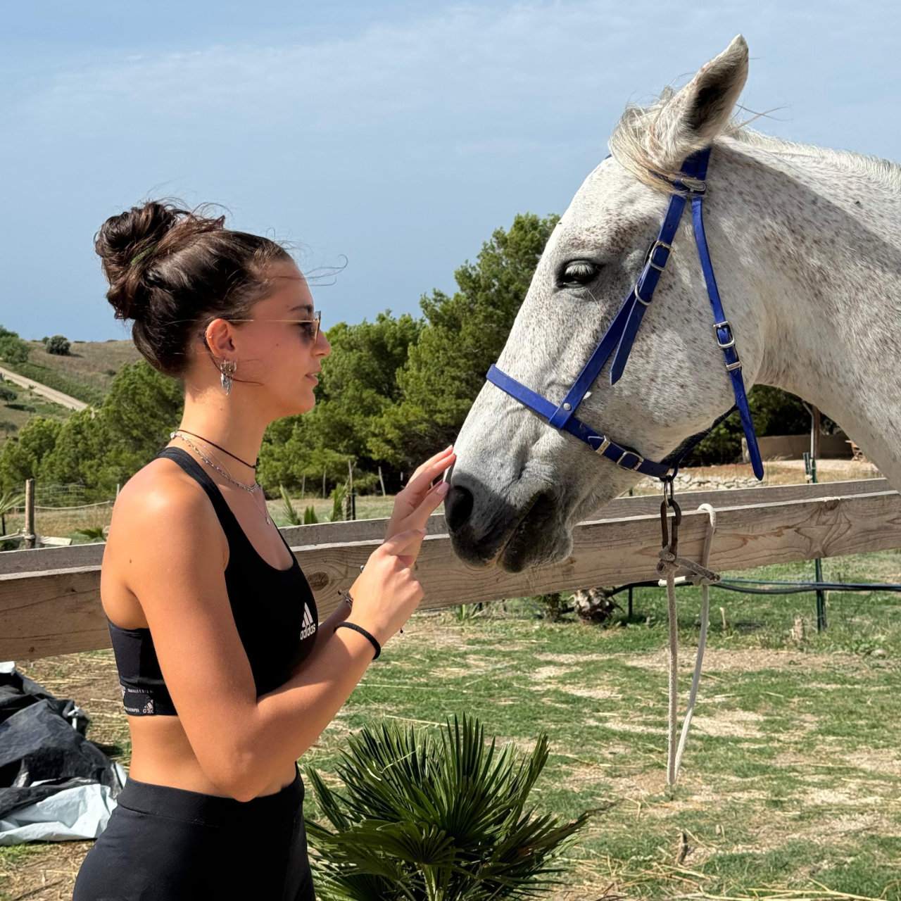 Passeggiata a cavallo 1 ora Torre Salsa o Capo Bianco