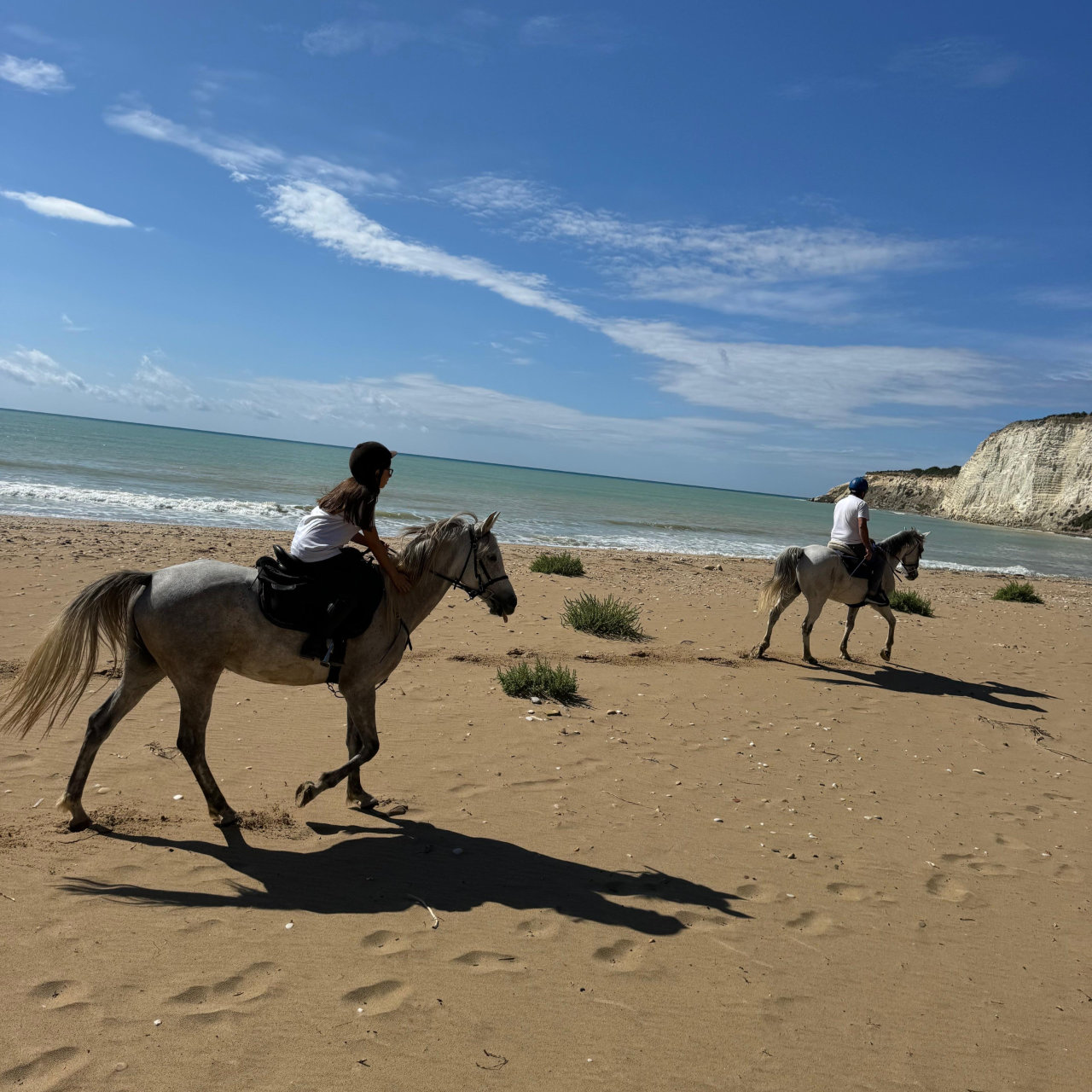 Passeggiata Cavallo 2h Torre Salsa o Capo Bianco