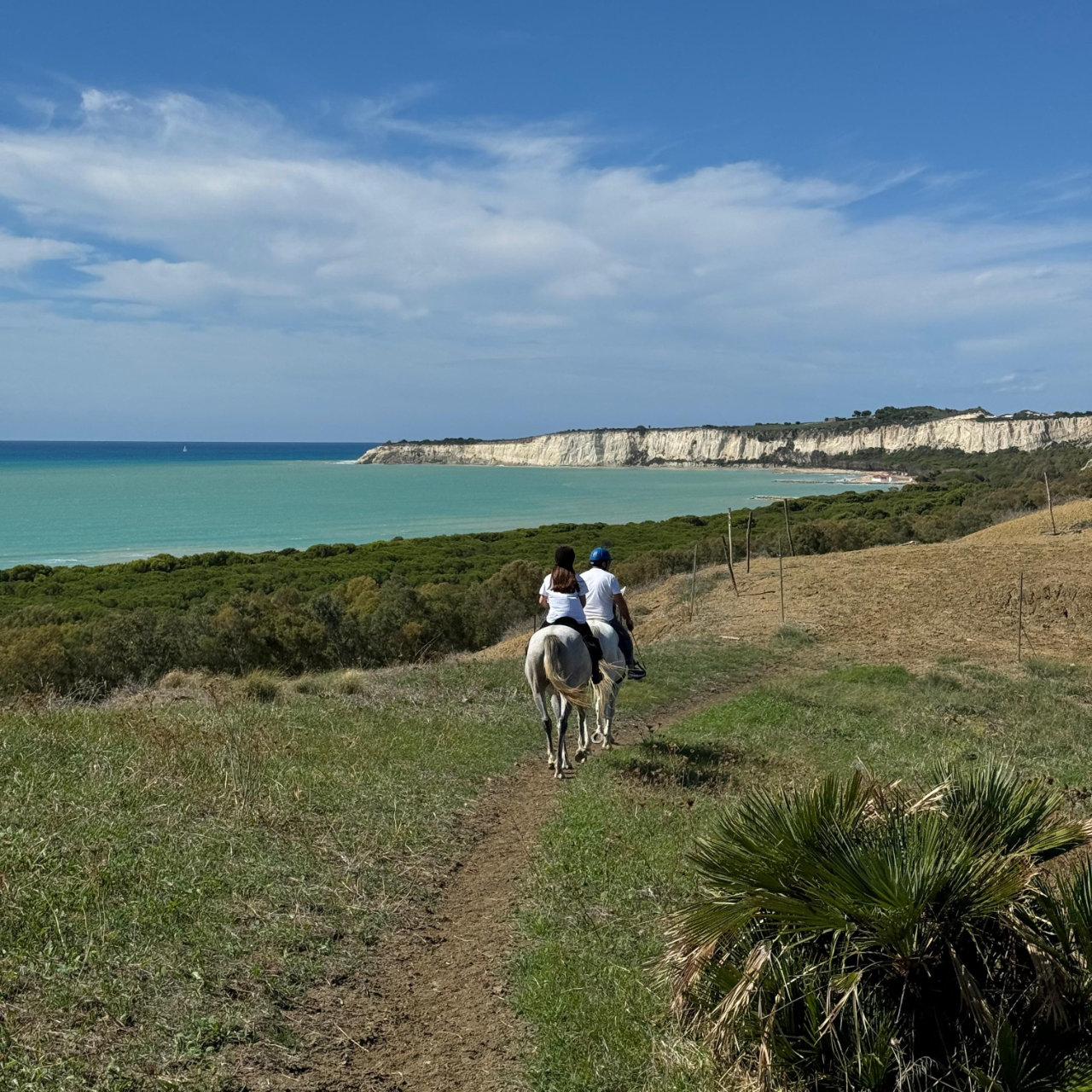 Passeggiata Cavallo 2h Torre Salsa o Capo Bianco