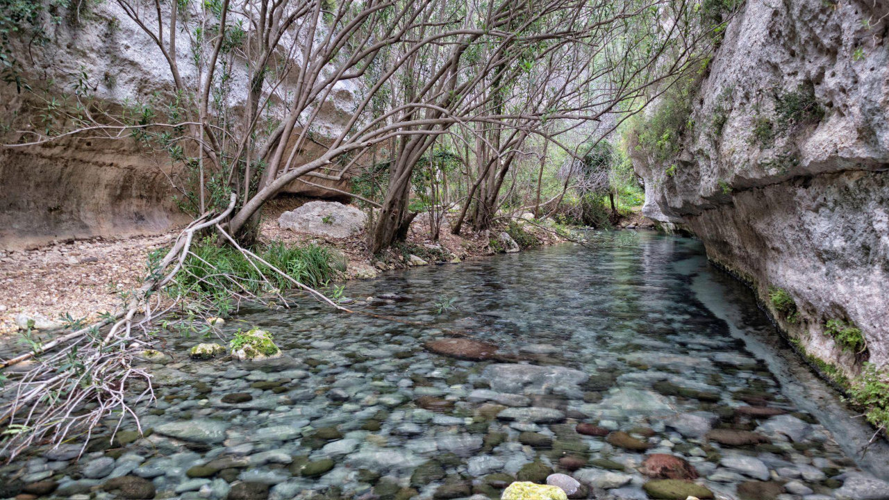 Pantalica: Escursione tra Archeologia e Natura in Sicilia