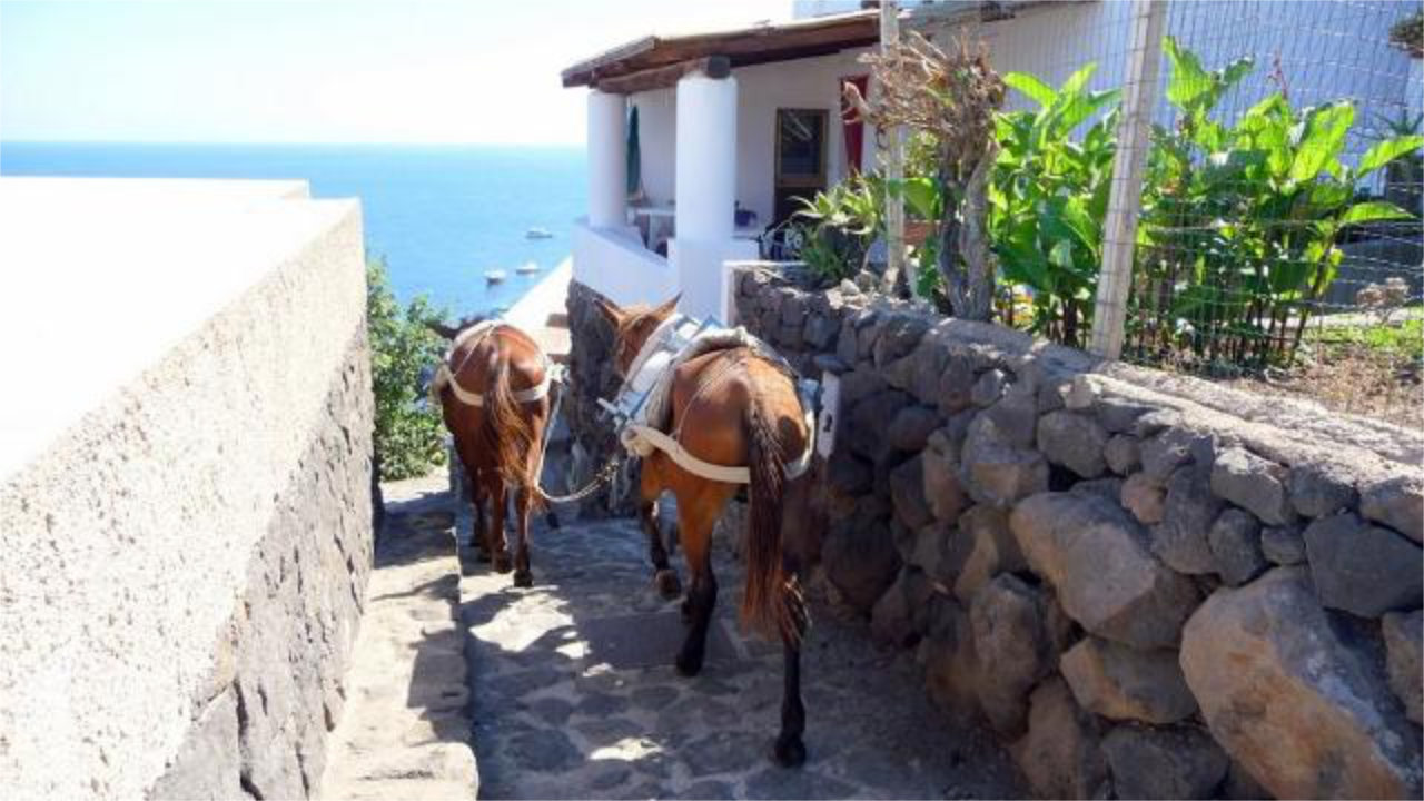 Tour in barca a Filicudi e Alicudi da Lipari