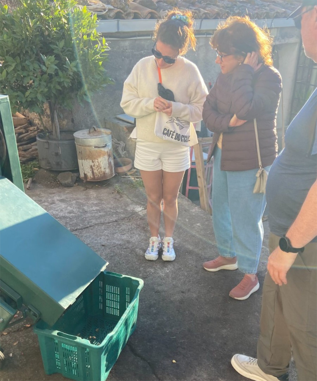 Visita ai pistacchieti di Bronte con degustazione