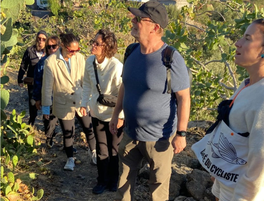 Visita ai pistacchieti di Bronte con degustazione