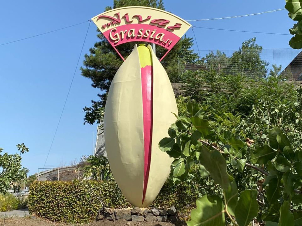 Bronte: azienda agricola del pistacchio con degustazione