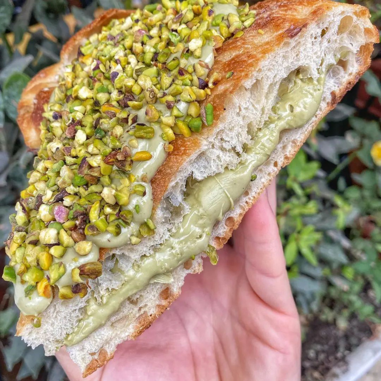 Visita ai pistacchieti di Bronte con degustazione