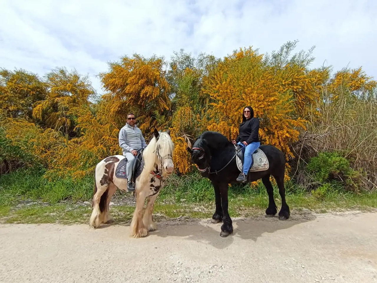 Passeggiata a cavallo a Santa Maria del Focallo