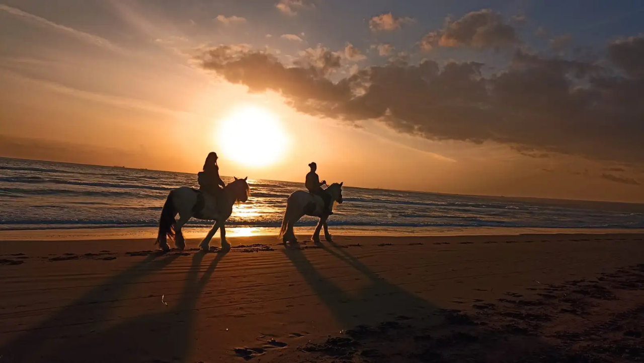 Passeggiata a cavallo in spiaggia a Santa Maria del Focallo