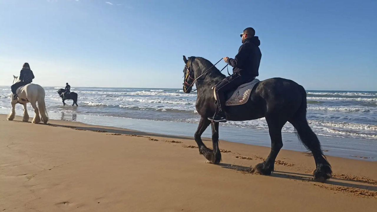 Passeggiata a cavallo in spiaggia a Santa Maria del Focallo