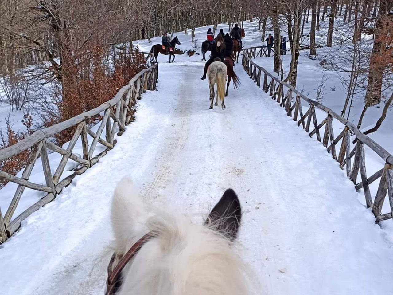 Passeggiata a cavallo al Lago Maulazzo con aperitivo