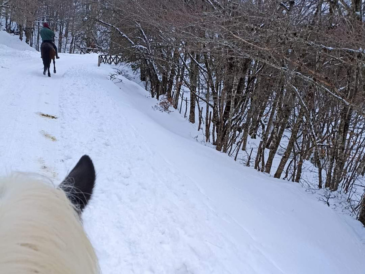 Passeggiata a cavallo al Lago Maulazzo con aperitivo