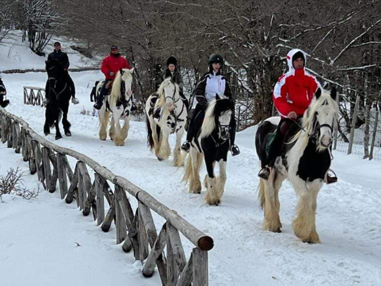 Passeggiata a cavallo al Lago Maulazzo con aperitivo