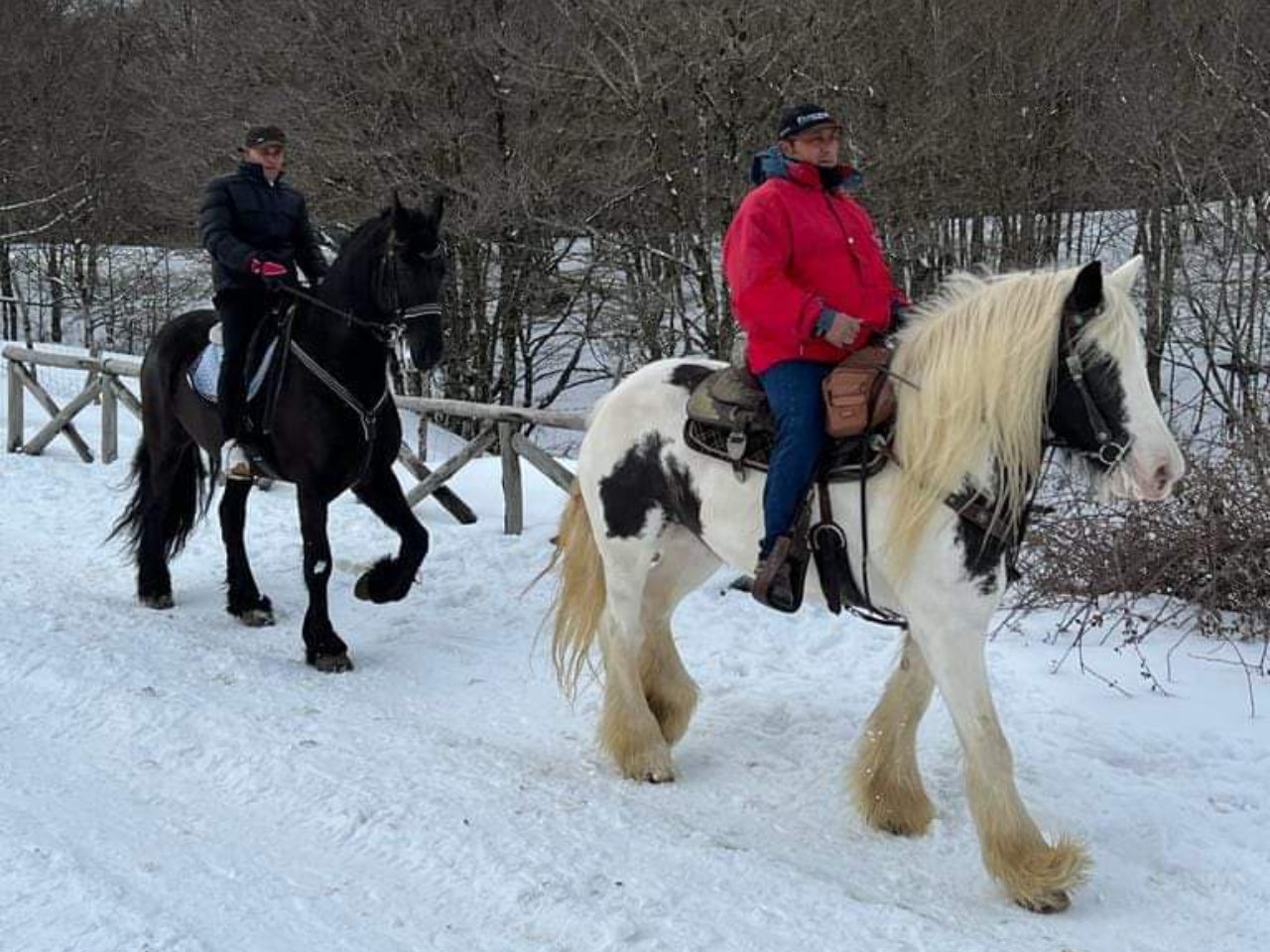 Passeggiata a cavallo al Lago Maulazzo con aperitivo