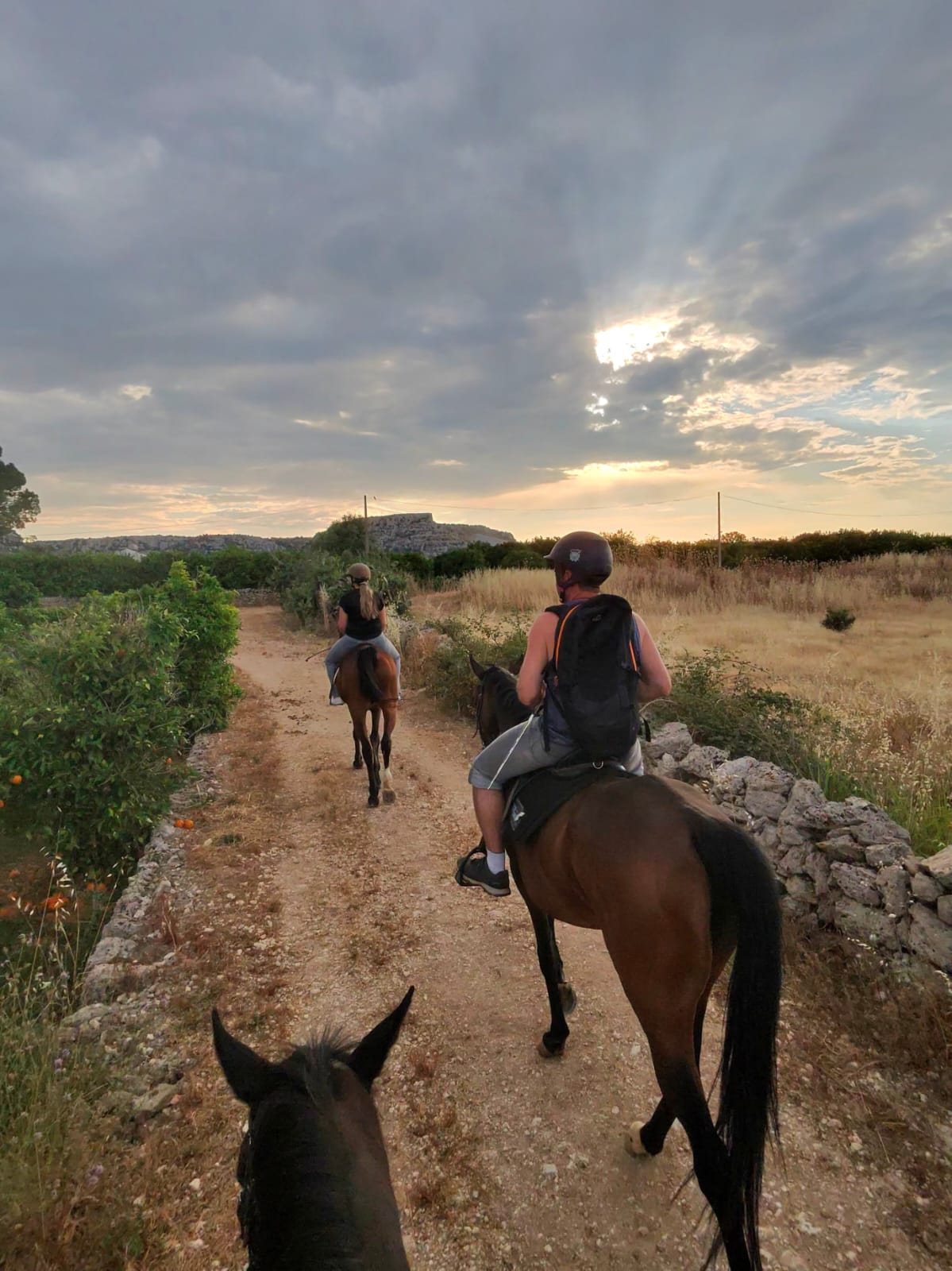 Passeggiata a cavallo nella campagna di Siracusa